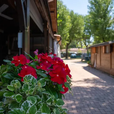 Campsite Massa Marina *