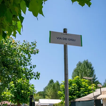 Massa Marina Campsite *