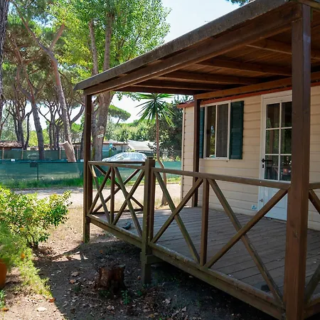 Kamp alanı Massa Marina *